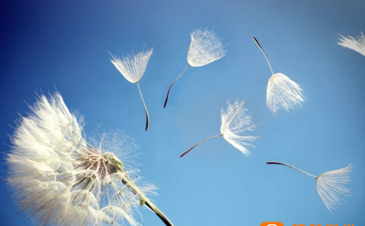 2025春新版五年级下册数学 期末常考易错填空题 – 百度网盘下载