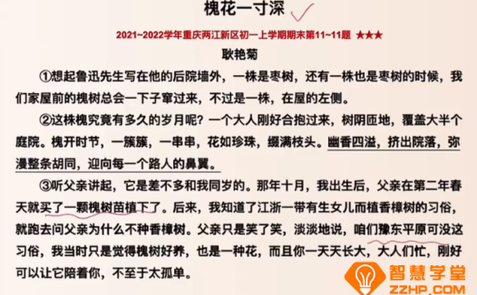 盖老师初中语文学霸养成营阅读理解和课外文言文 40讲百度网盘下载